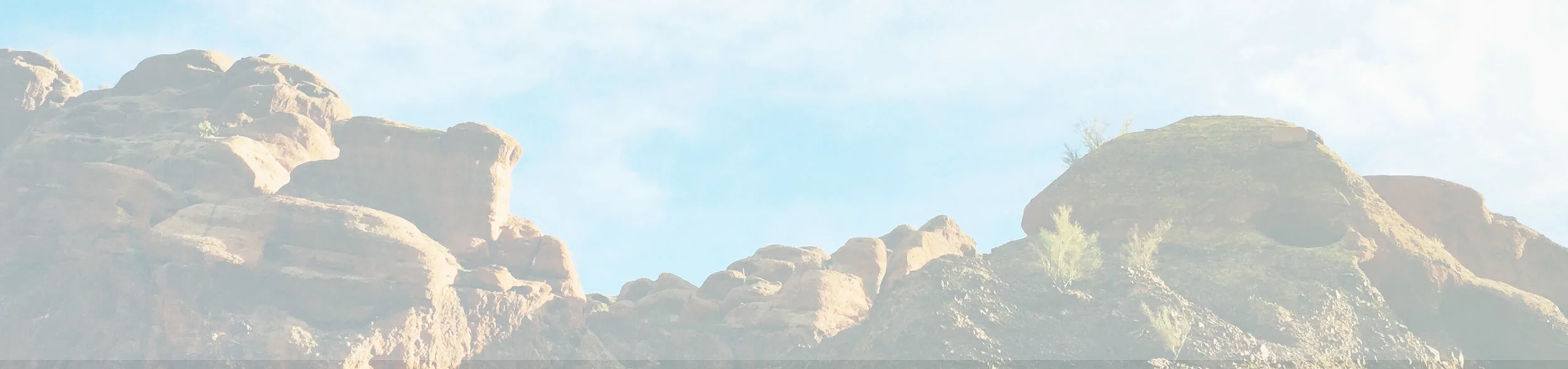 section-header.jpg