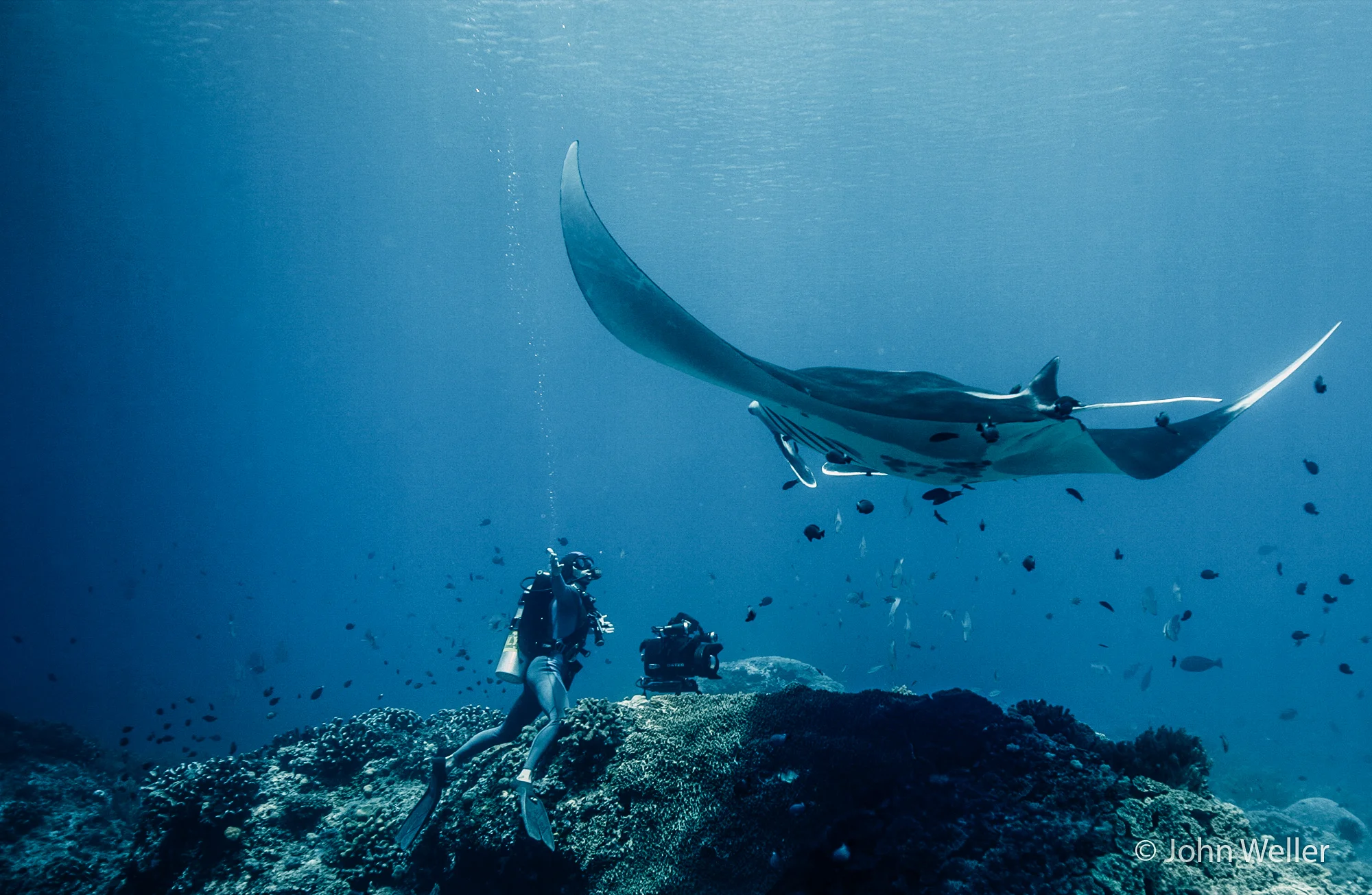 Shawn-Heinrichs-and123F816.jpg