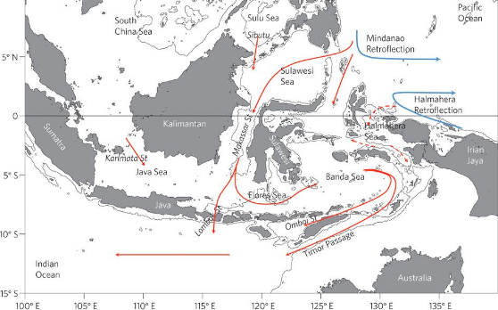 Indonesia-Kokotuku.png