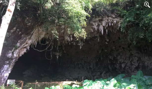 Bones of ancient pigmies and Timoir rats were excavated from this cave at Liang Bua