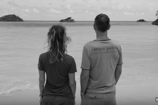 Can Eco-Tourism Help Save the Ocean?