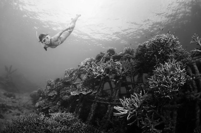 Ecotourism for Ocean Warriors: 5 places where travelers can help make a difference