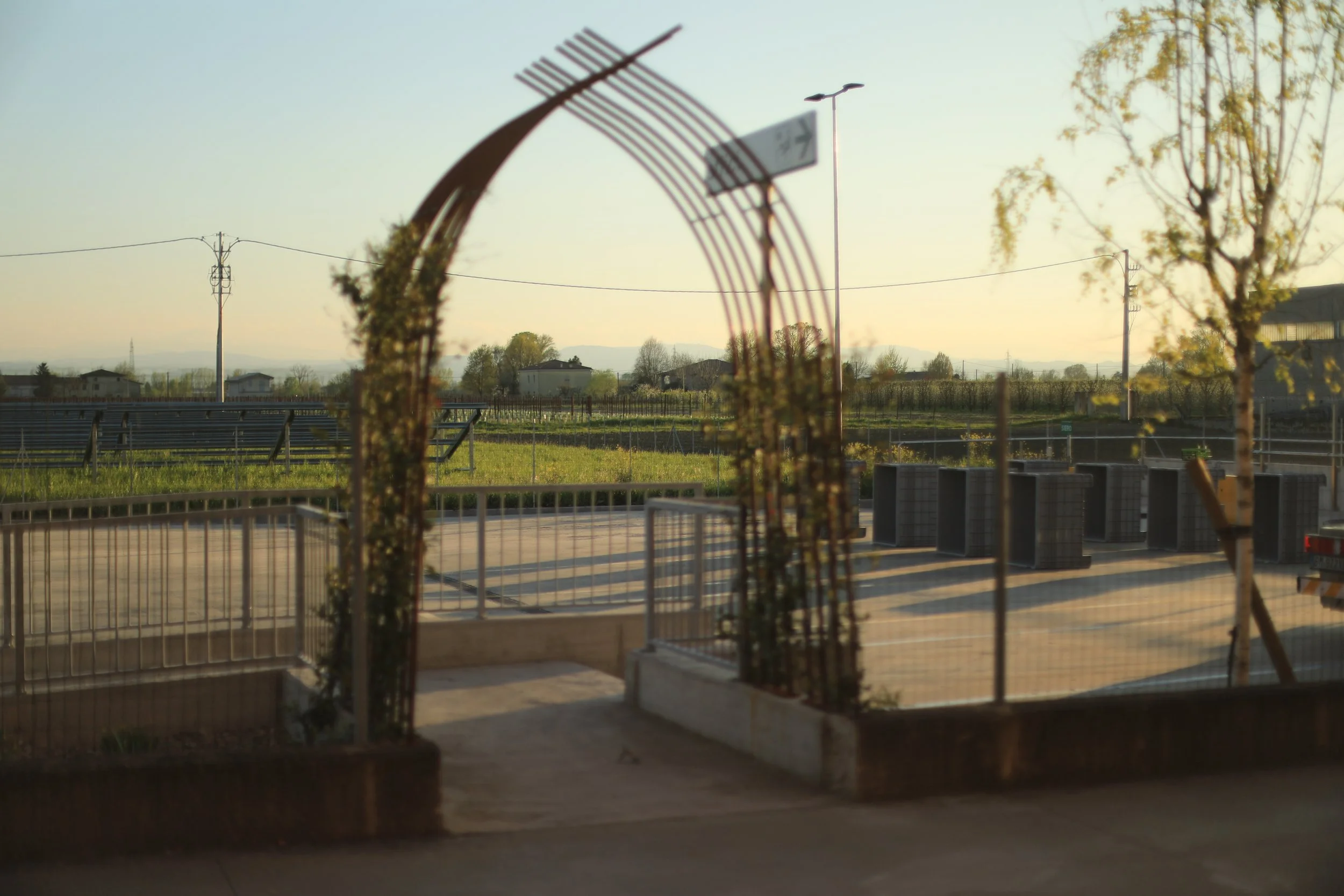  arco di gelsomino in crescita all’entrata degli uffici amministrativi e logistici di GRA-COM srl 
