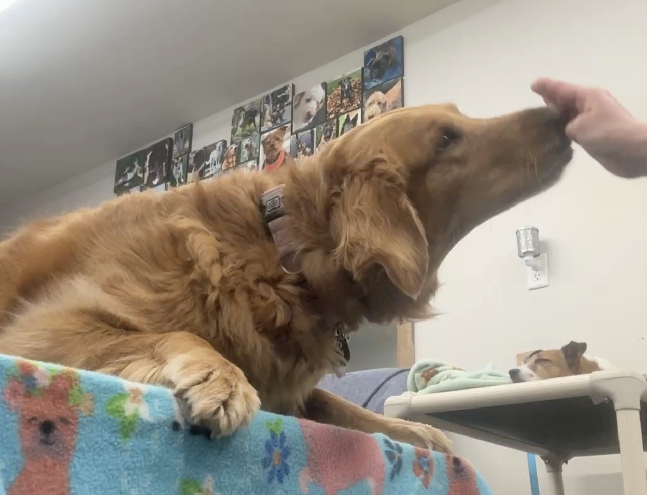 View recent photos.png