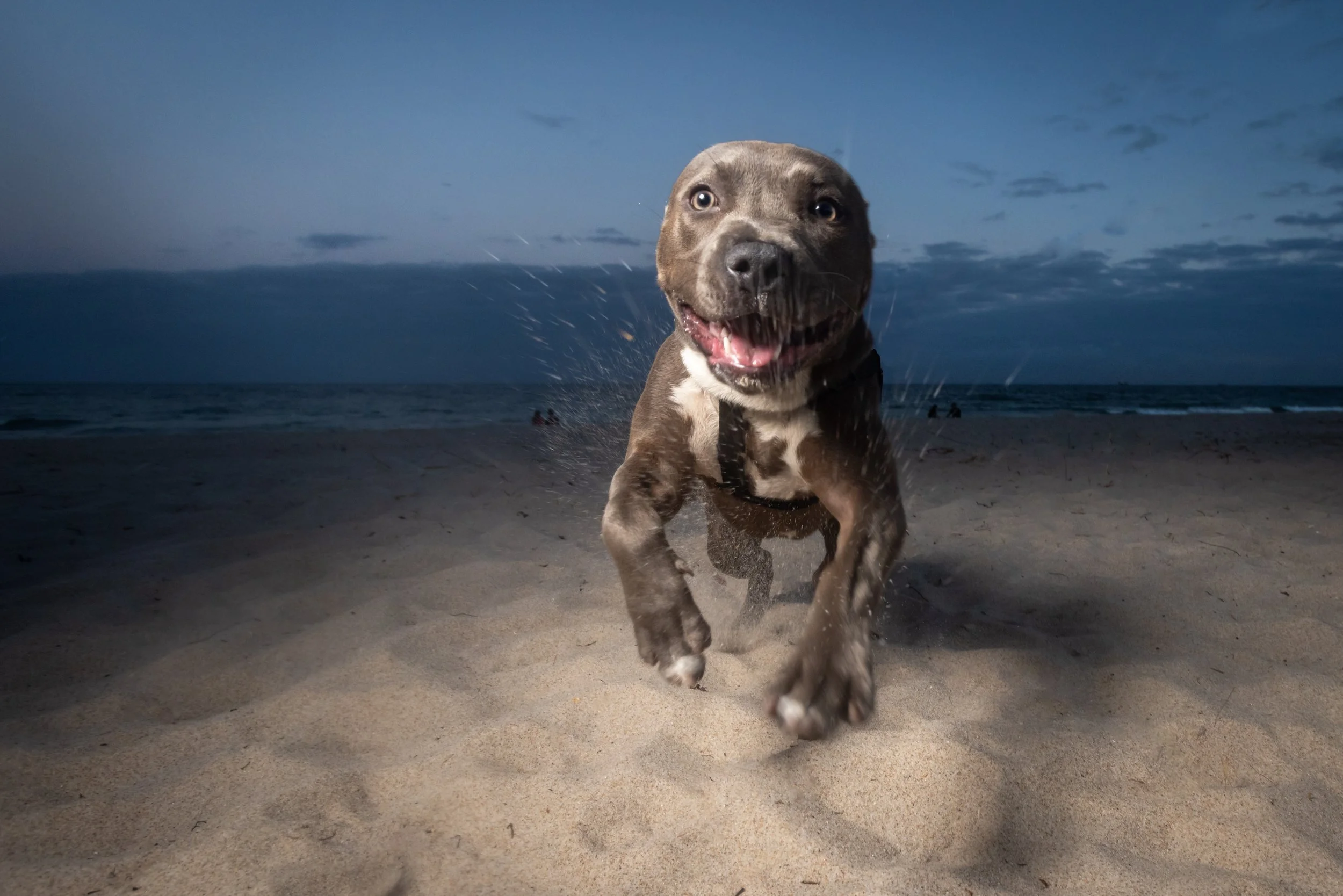 2L4A5782-Edit.jpg