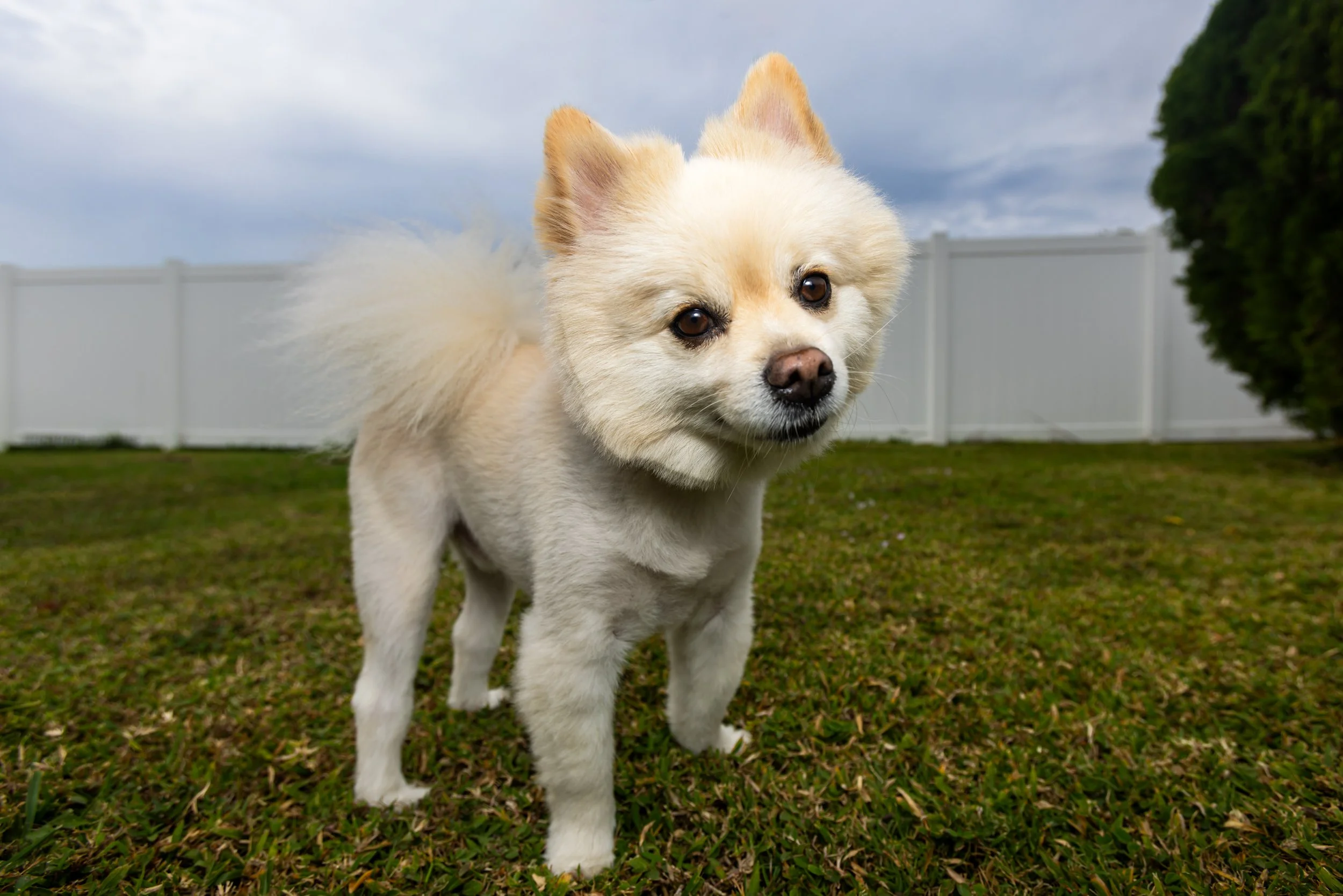 2L4A8643-Edit.jpg