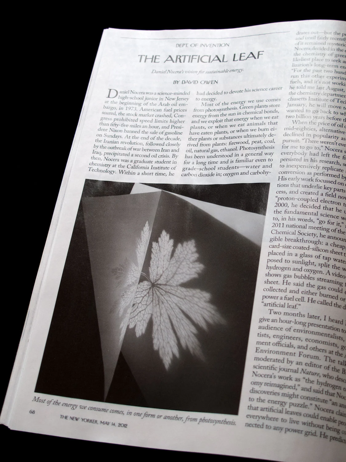 Artficial-Leaf.jpg