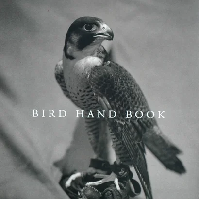VS_Birds_Thumb2.jpg