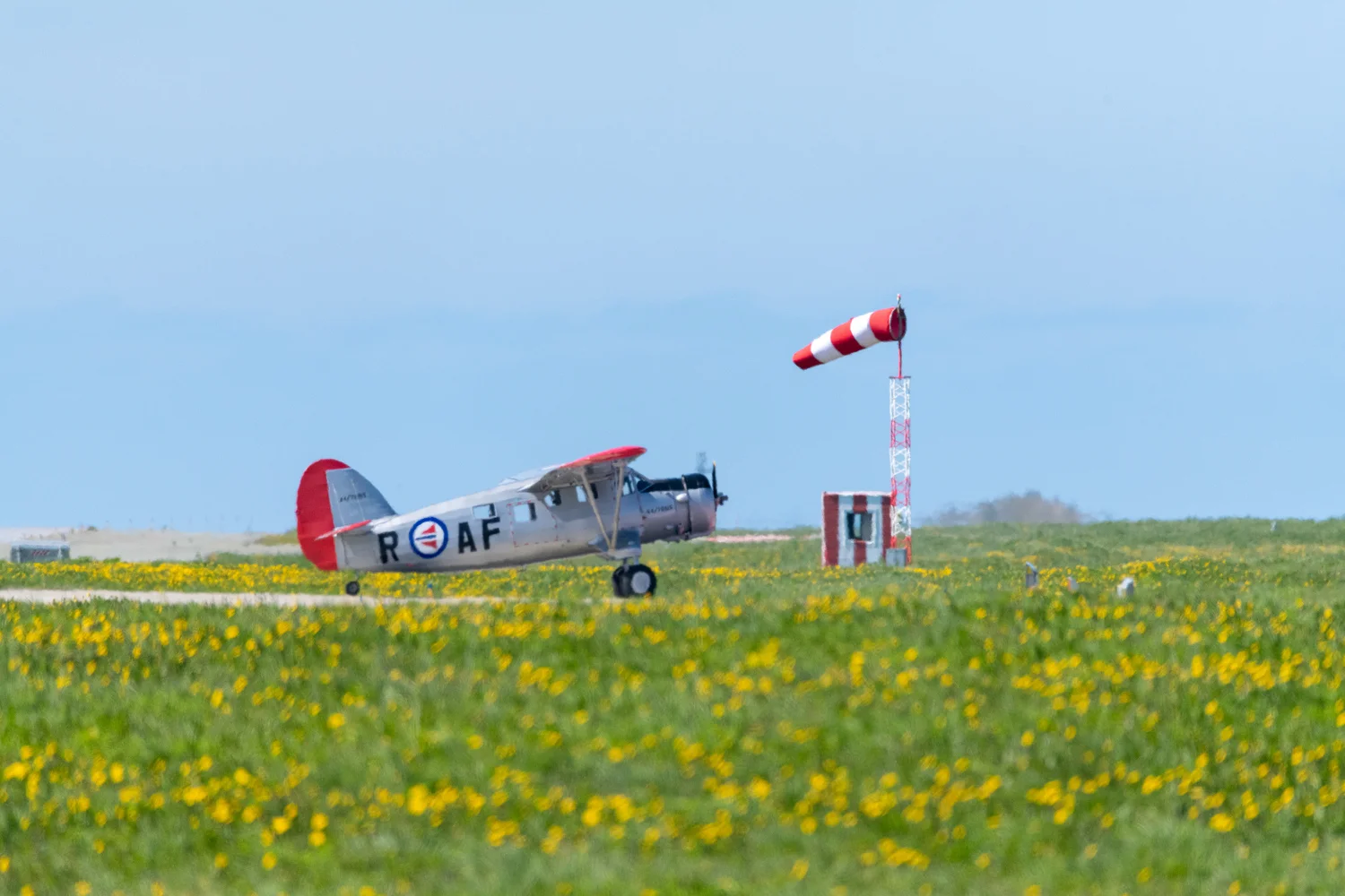 190525_1058_DSC_3104.jpg