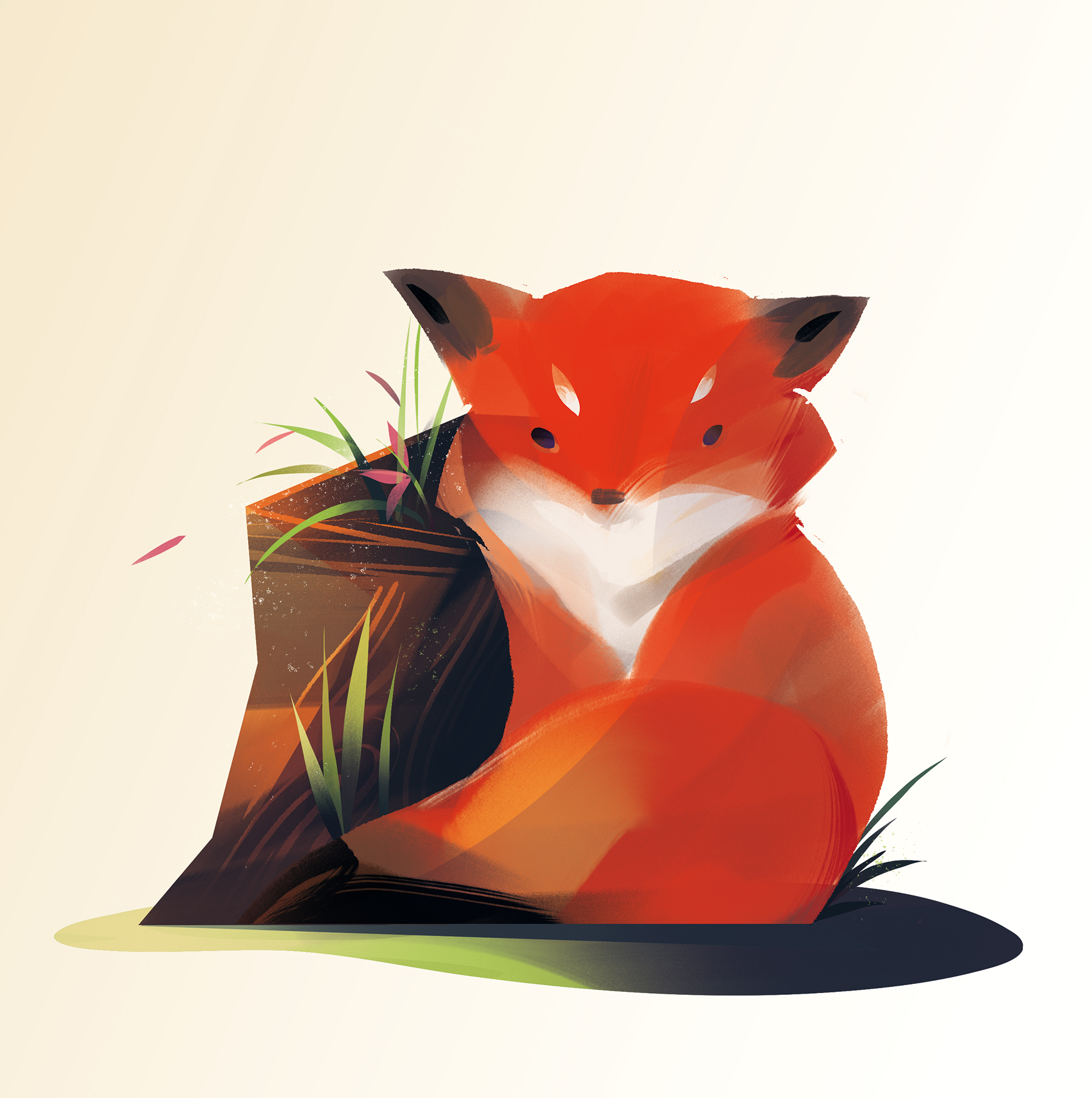 Little Fox