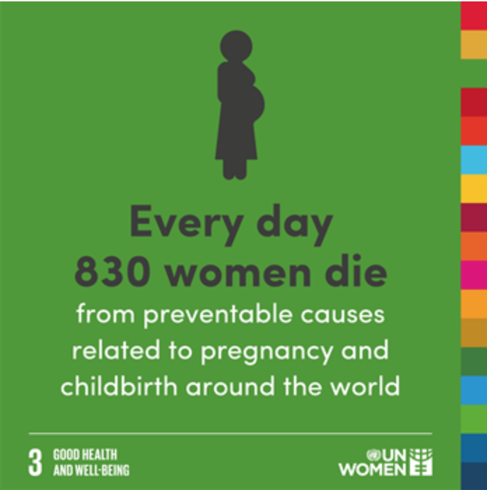 Last year, VGIF grantees in India provided 259 anemic pregnant women with lifesaving iron and folic supplements.
