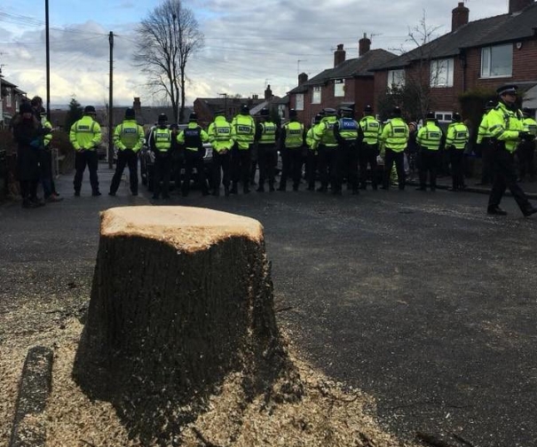Police protecting tree fellers against protesters in Sheffield