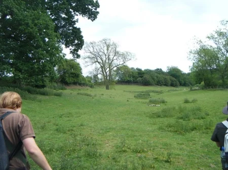 General view of the hunting area. The rabbit warrens we were working were on the left hand side near the trees. The second warren and drainage ditch are off camera, on the opposite side of the valley.