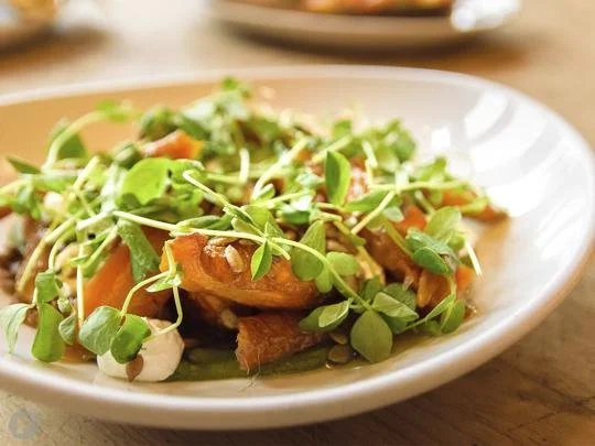 Tara and Michael Gallina Raise the Profile of 'Vegetable-Forward' Cuisine in St. Louis