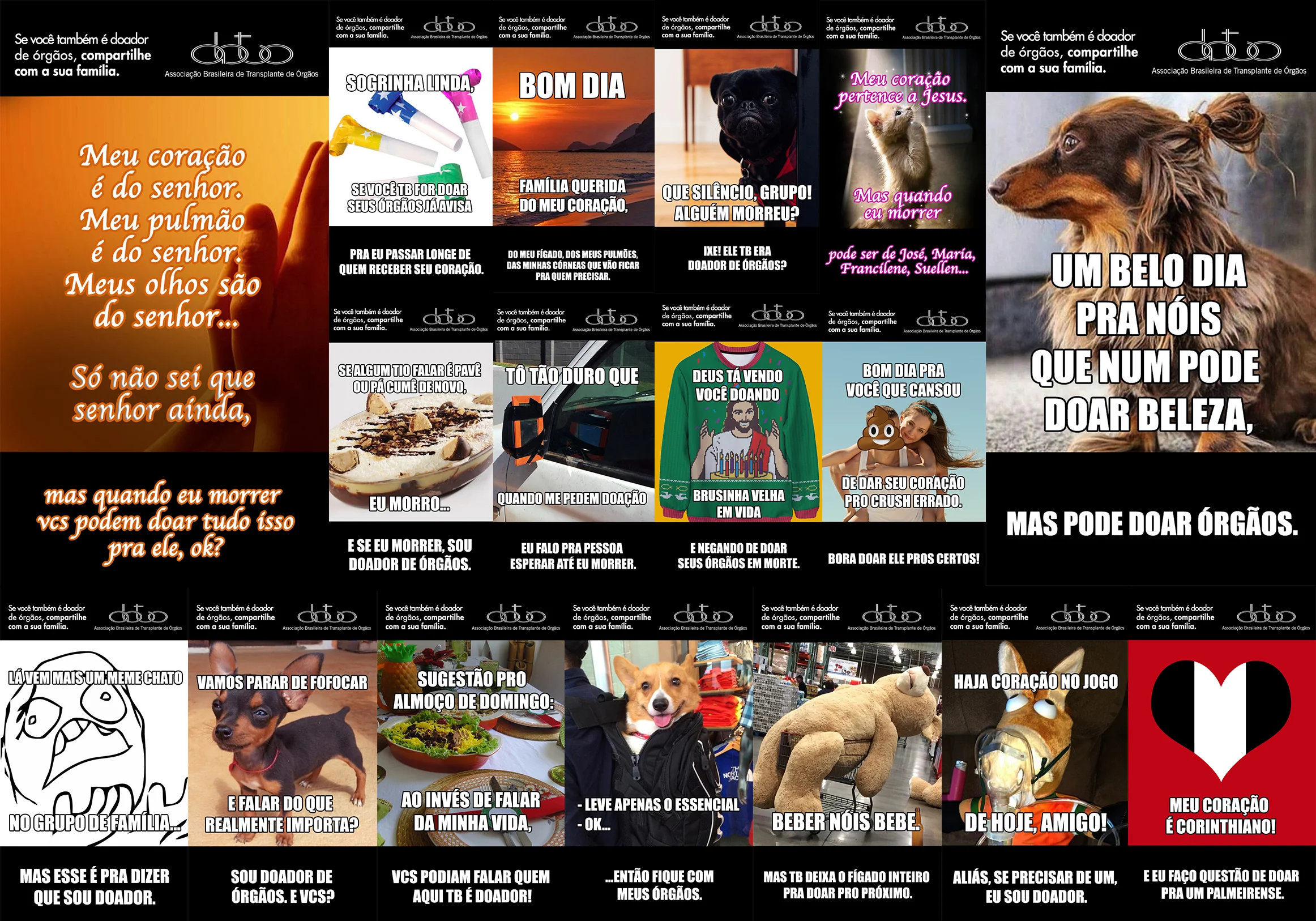 memes_board.jpg