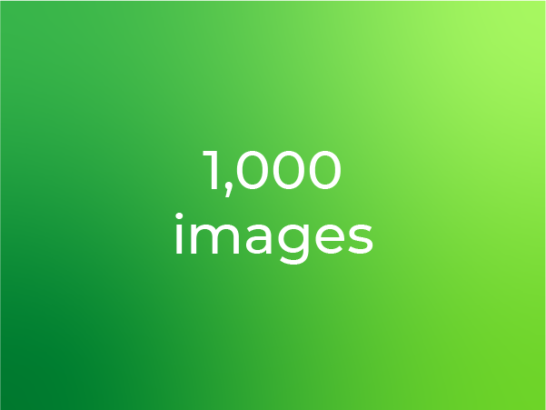 1000 Images