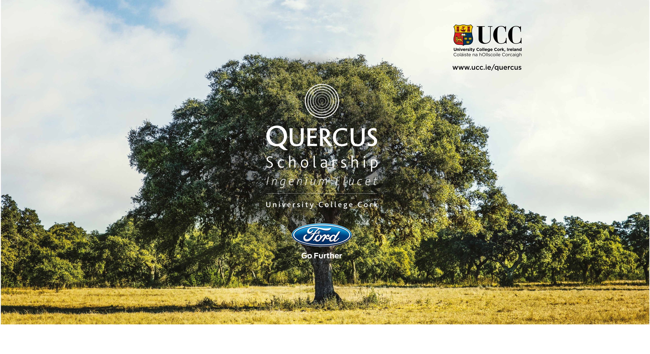 Ford Quercus