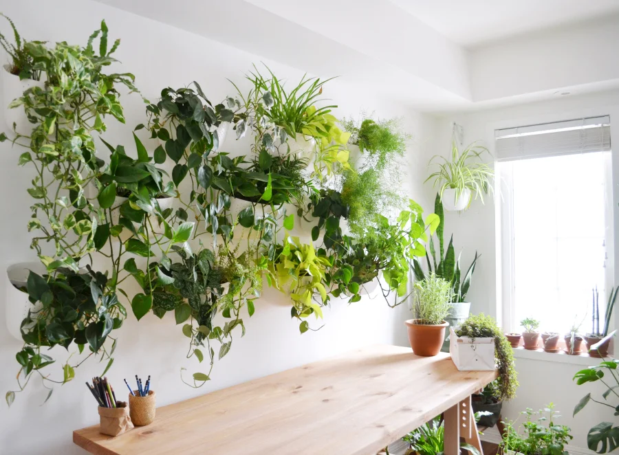 living-wall-update1.jpg