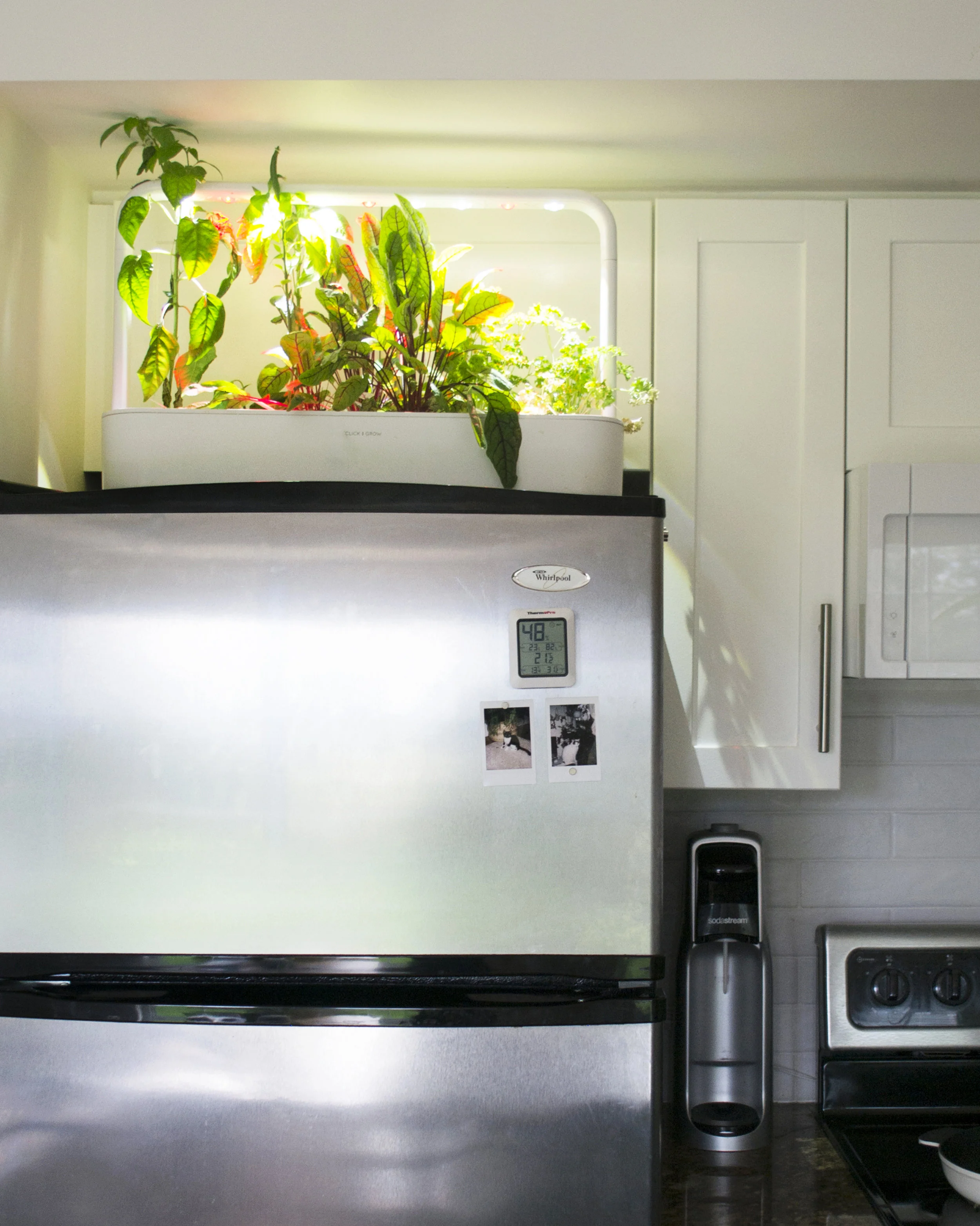 Click & Grow Smart Garden 9 , slightly overgrown