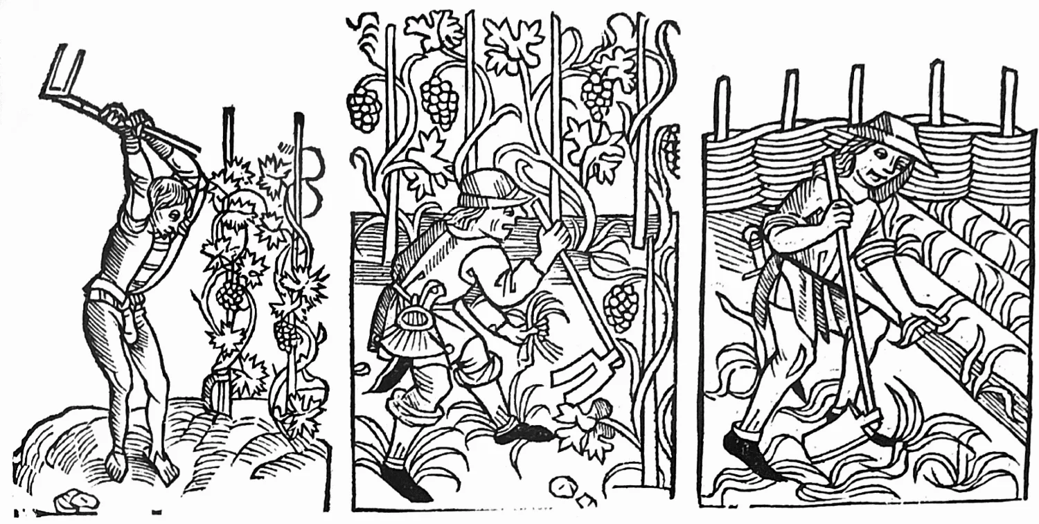 Illustration from Anthony Huxley’s ‘An Illustrated History of Gardening’, artist unknown
