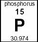 P.jpg