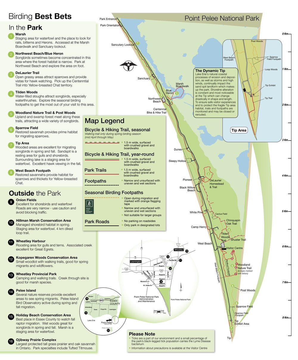 Point Pelee Park Map - Birding Hotspots and Trails