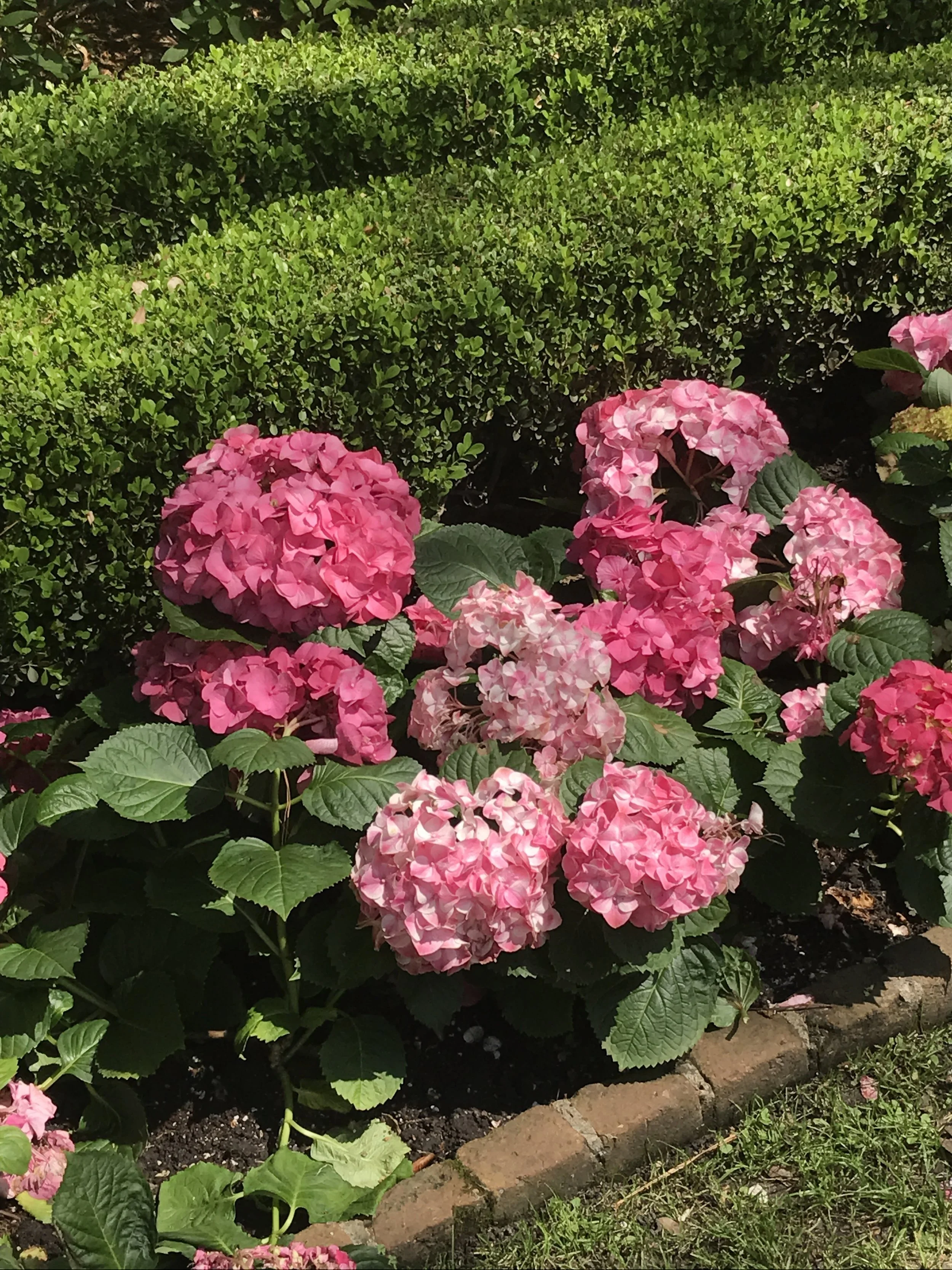 A0922667-11C1-4E4B-92A6-9C3238D0F3BC.jpeg