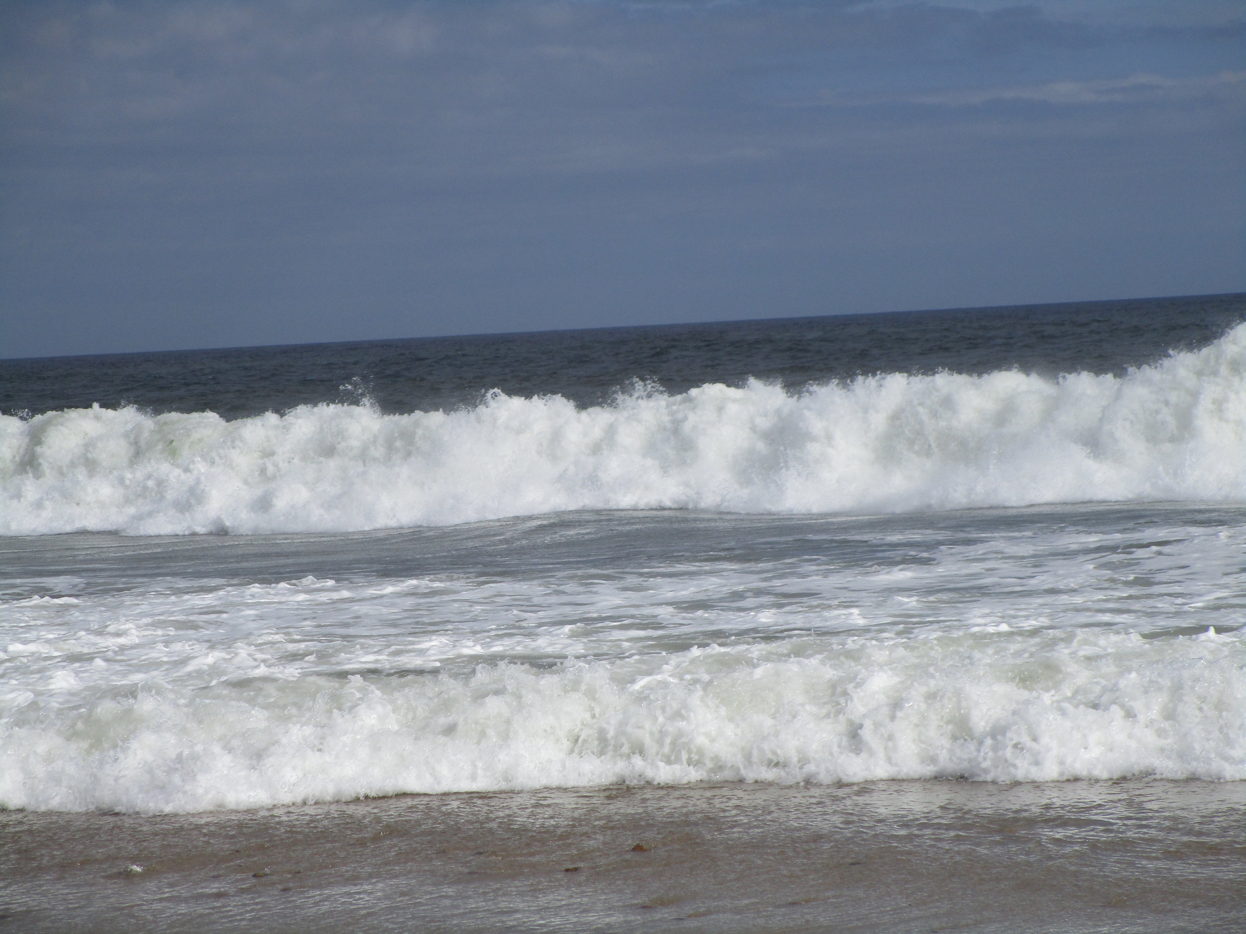 05EFB198-596C-4570-A7B0-30169C8231ED.jpeg