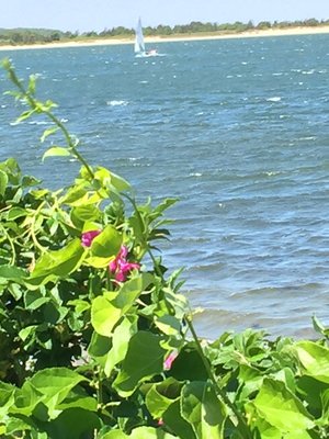 A8033BFB-0D34-4914-8D39-08AEBD6E2A6F.jpeg