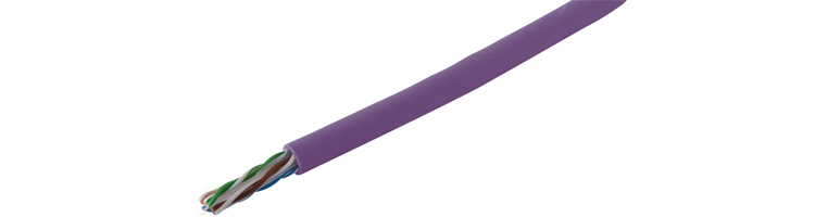 Purple-Banner.jpg