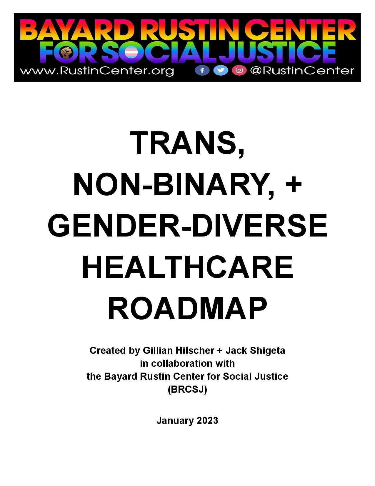 BRCSJ Trans Healthcare Full Roadmap (2023)-page-001.jpg