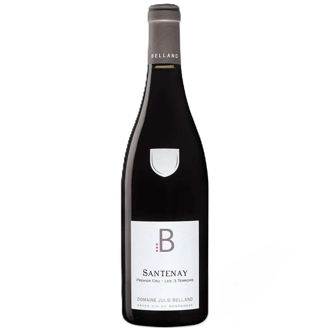 Vinho Tinto Julie Et Roger Belland Santenay 1er Cru 2022 75cl