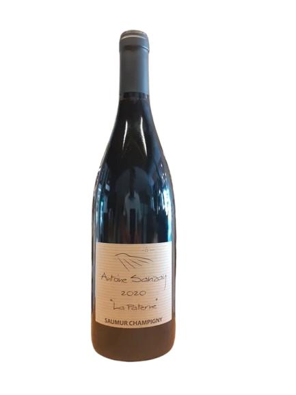 Vinho Tinto Antoine Sanzay Saumur Champigny La Paterne 2020 75cl