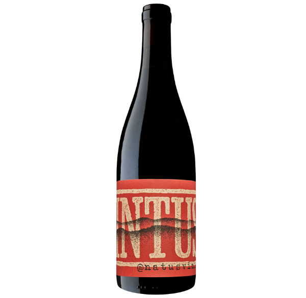 Vinho Tinto Intus 2023 75cl