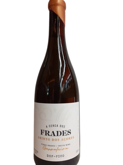 FRADES-removebg-preview.png