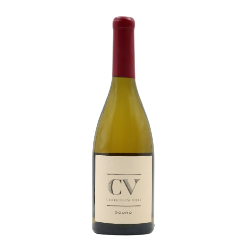 Vinho Branco Curriculum Vitae