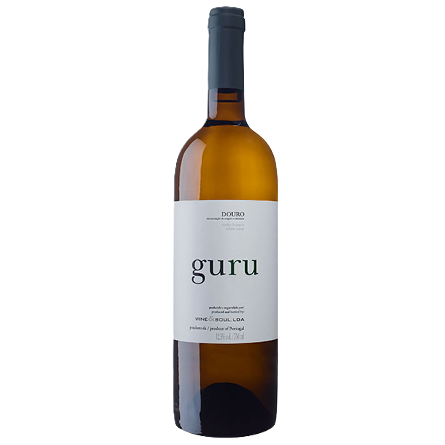 guru1.png