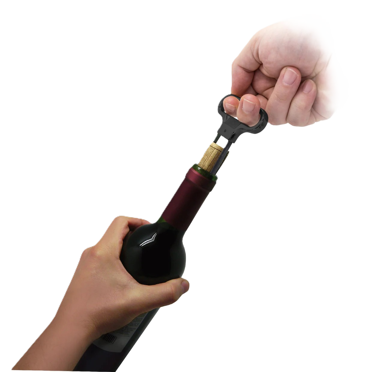 FID1274_3.png