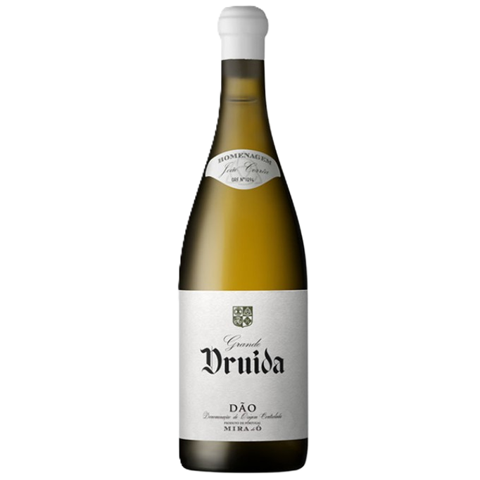 G druida.png