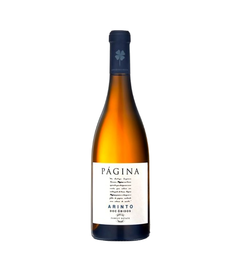 paginaarinto-removebg-preview.png