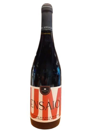 Vinho Tinto Ensaio UM UNOAKED 75cl