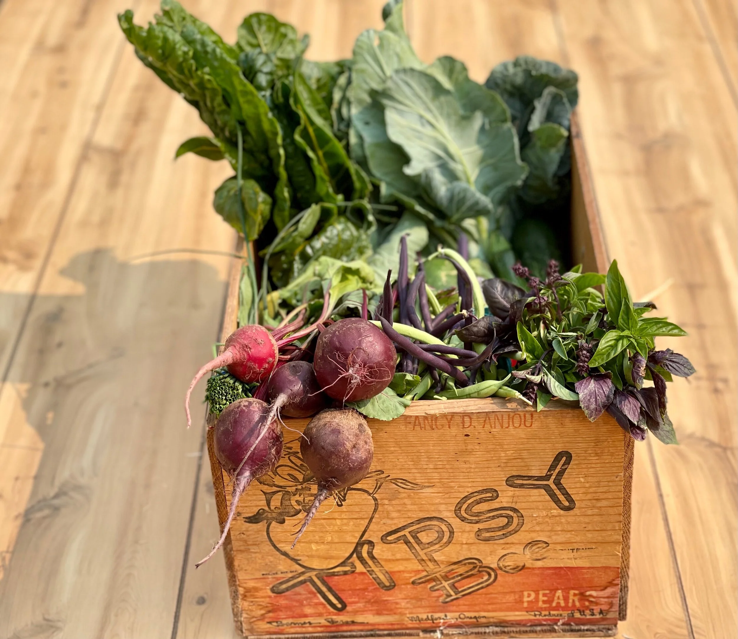 4DD8FD23-973B-49E3-98E9-FD0DCB4F85F5