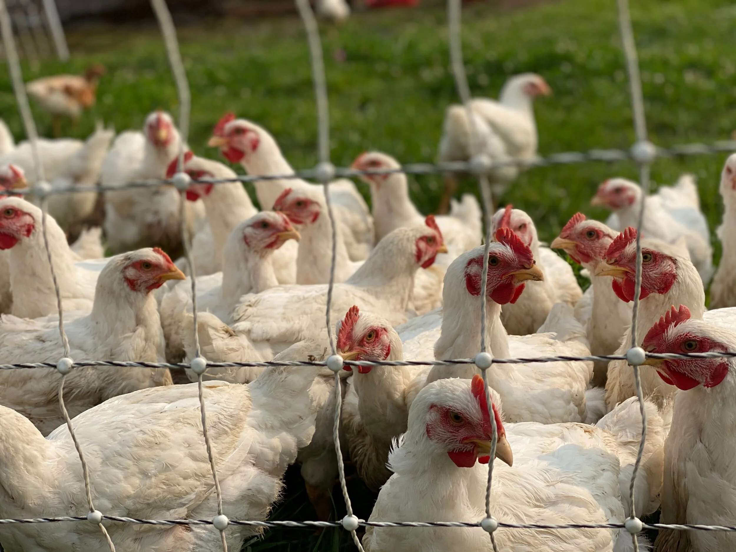 89C0EFDA-1FE0-47A0-AE44-4B9A0C9447D0