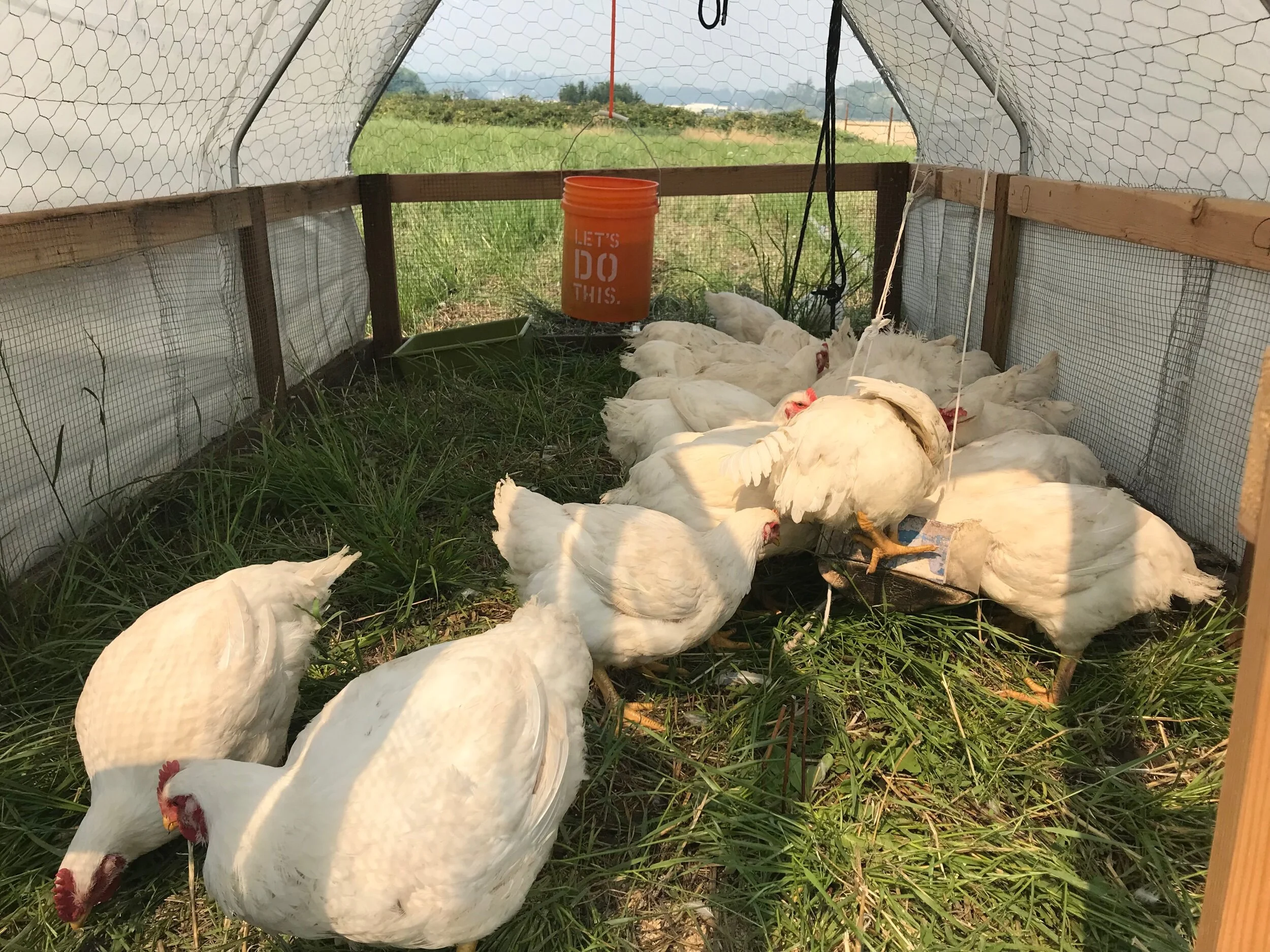 641614EA-BF33-48D1-B618-04F6009DC1DF