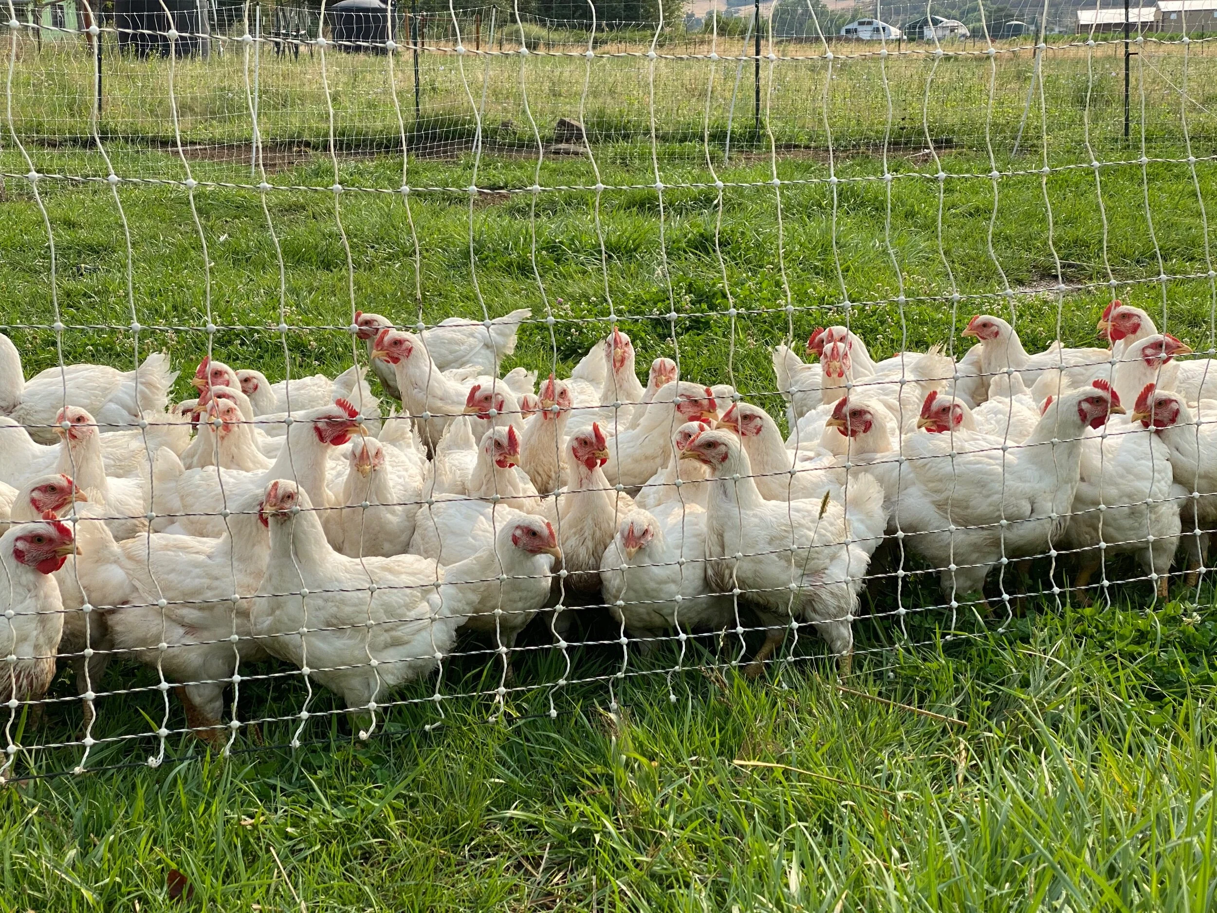 DEF5889C-9A83-44DF-9944-ED186757D855