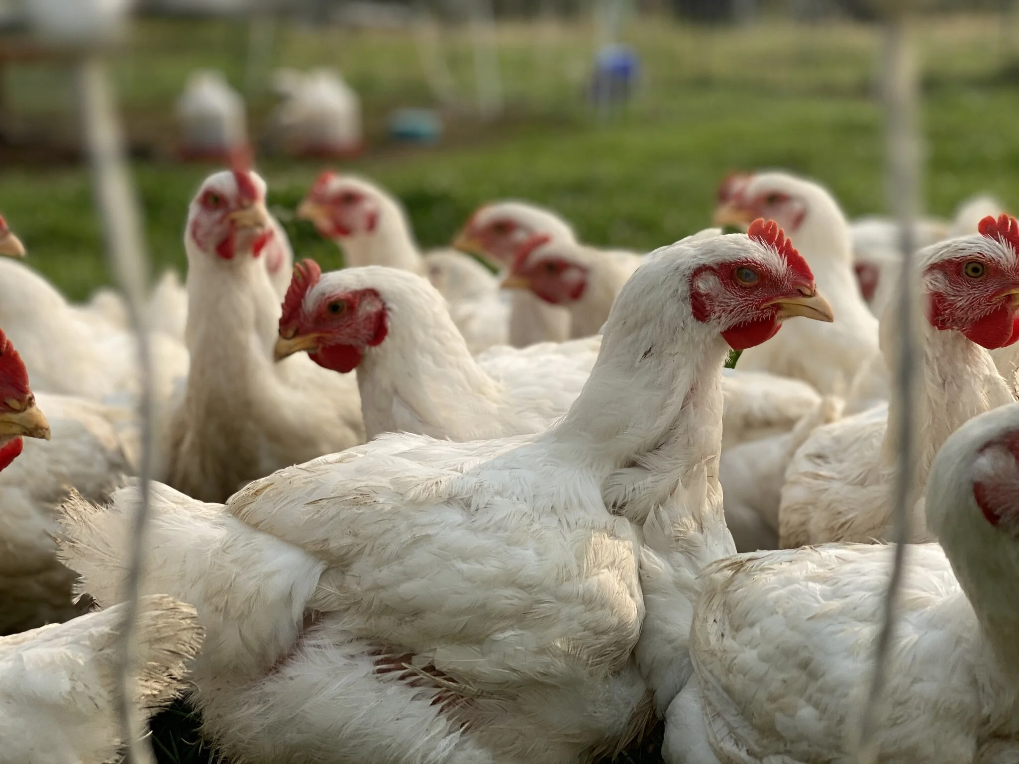 FBFB6843-37D1-4B15-8FDF-69EA65E8C198