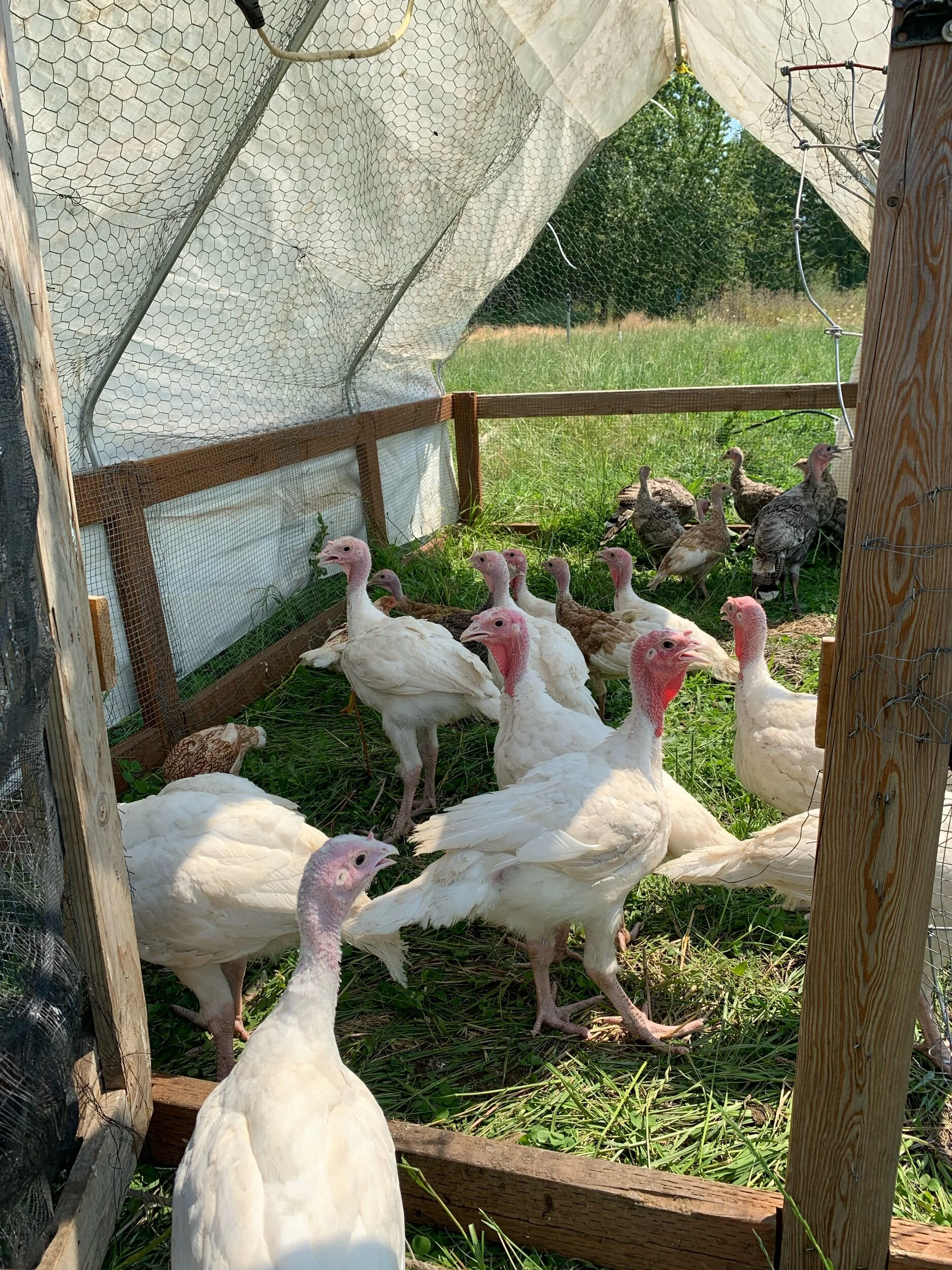 9C118716-8CE2-4520-8A6F-FBCF3EA5F9C0