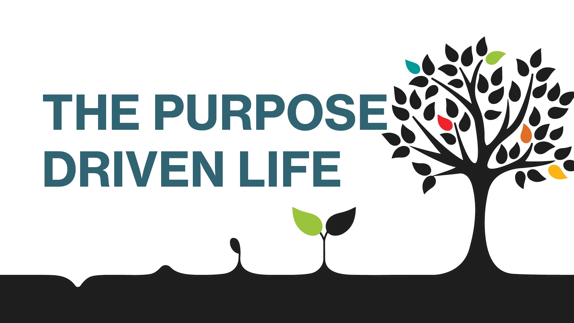 Events — Dream City Church