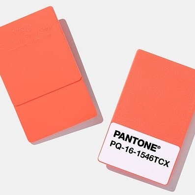 Taking a bit of a hiatus for the holidays, but will return with more #jobsearch and #portfolio tips in the new year. In the mean time, isn't Pantone's color of the year- Living Coral- just beautiful?