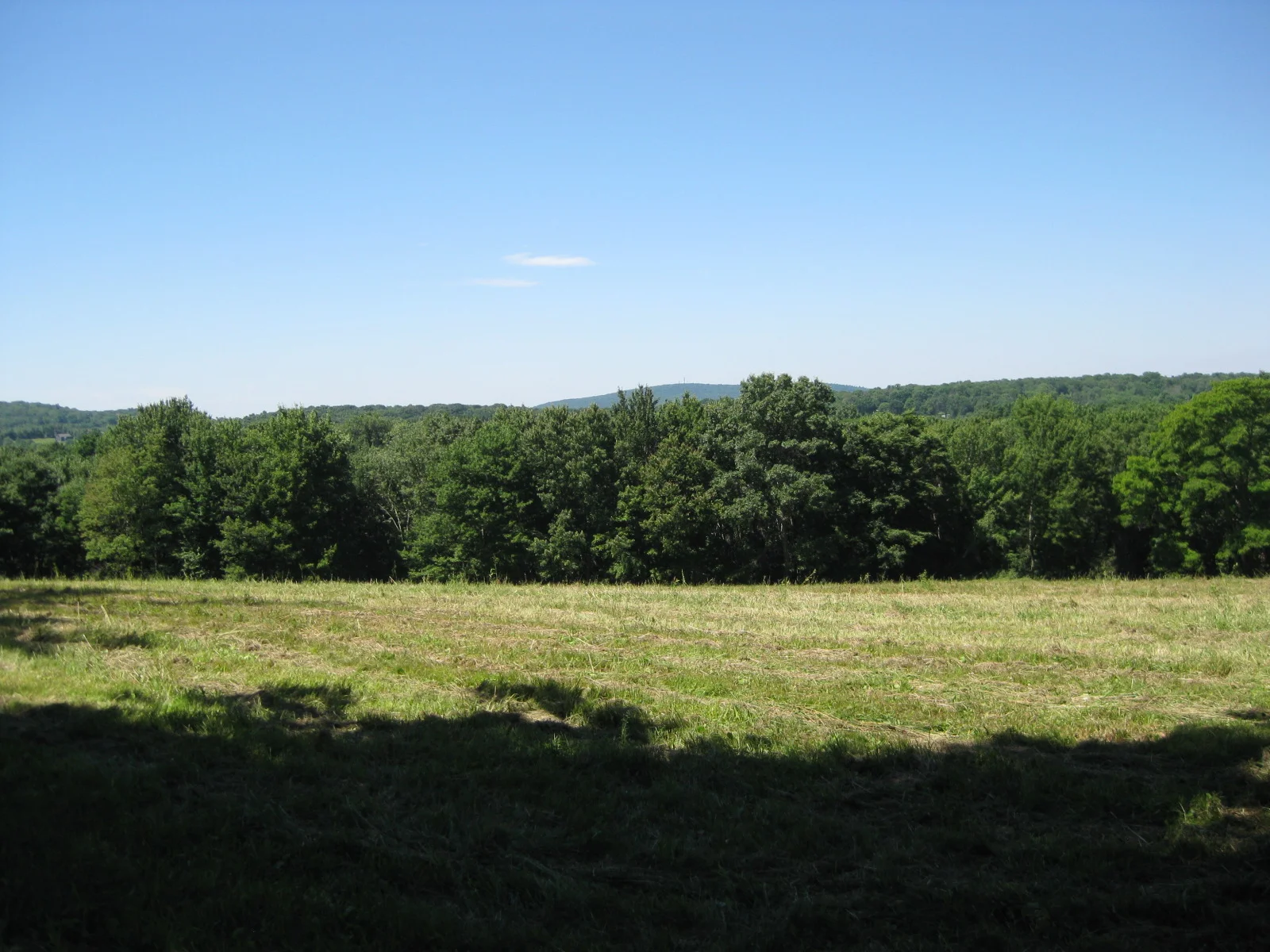 IMG_4530.jpg